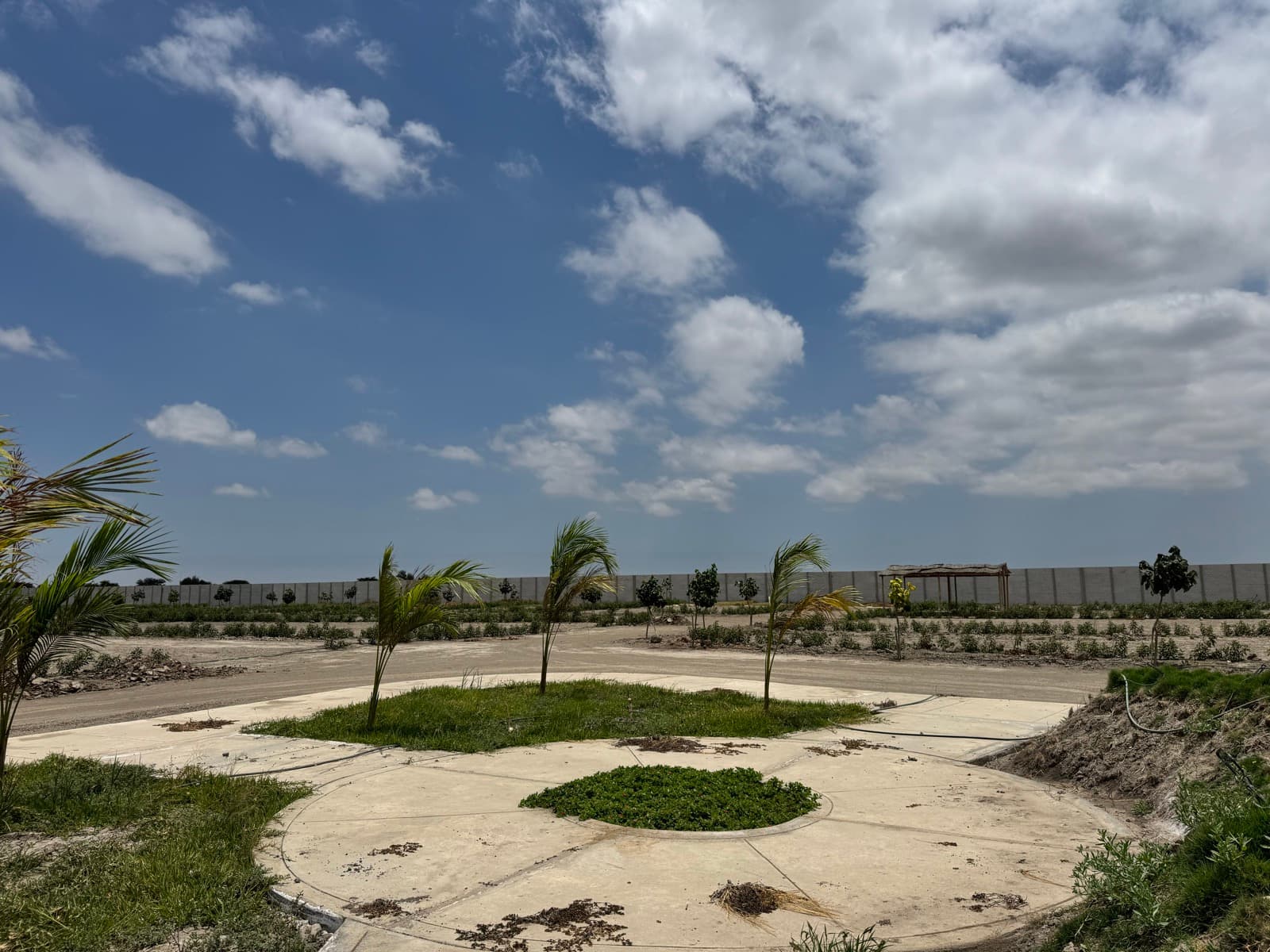 Áreas verdes y paisajismo